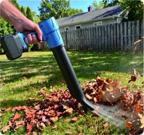 Blower for yard cleanup